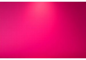 Fujian Bai Mu Dan White Tea Quality Indicators and Harvest Seasons