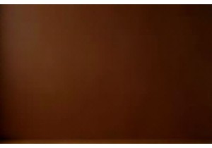 Lifestyle Products China Linen Napkins Embroidered with Nature Motifs