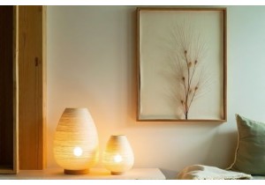Creative Home Goods China Sustainable Rice Paper Lamps and Wall Art