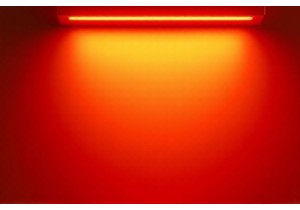 In Depth Toy Reviews Covering Performance and Safety