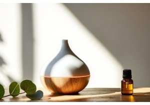 Lifestyle Products China Aromatherapy Diffusers with Lotus Wood Design