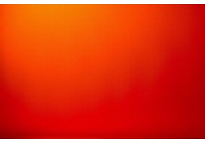 Therapeutic Squeeze Toys and Fidget Tools for Focus