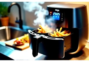 Ninja Foodi DualZone Air Fryer Review Family Meals Cooking Speed and Crispiness Consistency