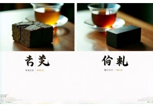 Shou Pu Erh vs Sheng Pu Erh: Aging, Taste & Value