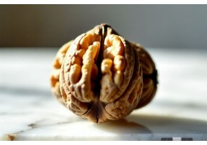 Four Seated Tower Walnut Grading System Size Shape Symmetry and Skin Texture