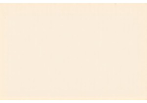 Shou Pu Erh vs Sheng Pu Erh: Aging, Taste & Value