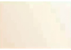 Hand Embroidered Silk Cushion Covers for Luxe Oriental Li...